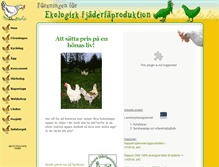 Tablet Screenshot of ekoagg.se